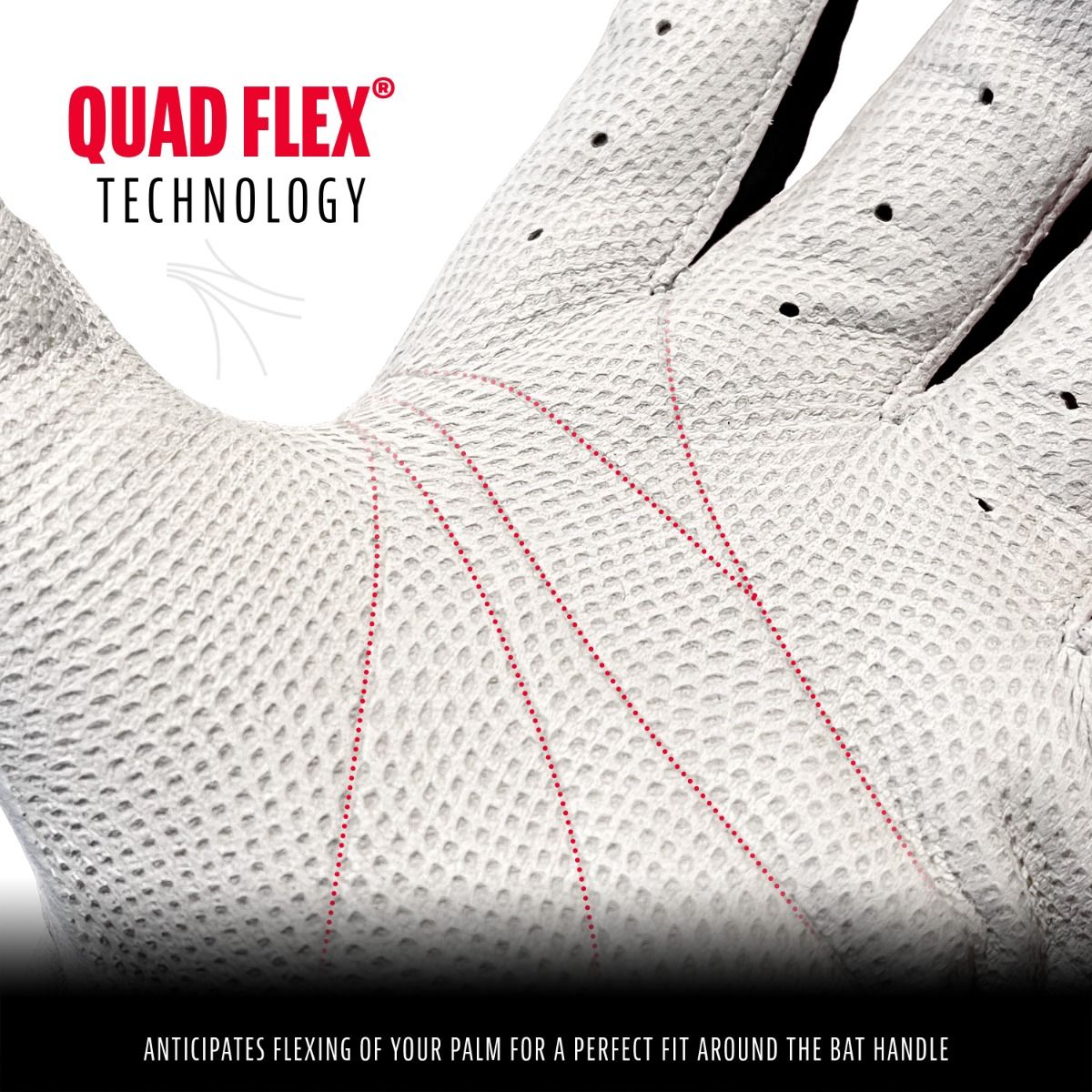 Franklin CFX Pro Series Adult Batting Gloves, Pearl/Black Size Large - Image 6